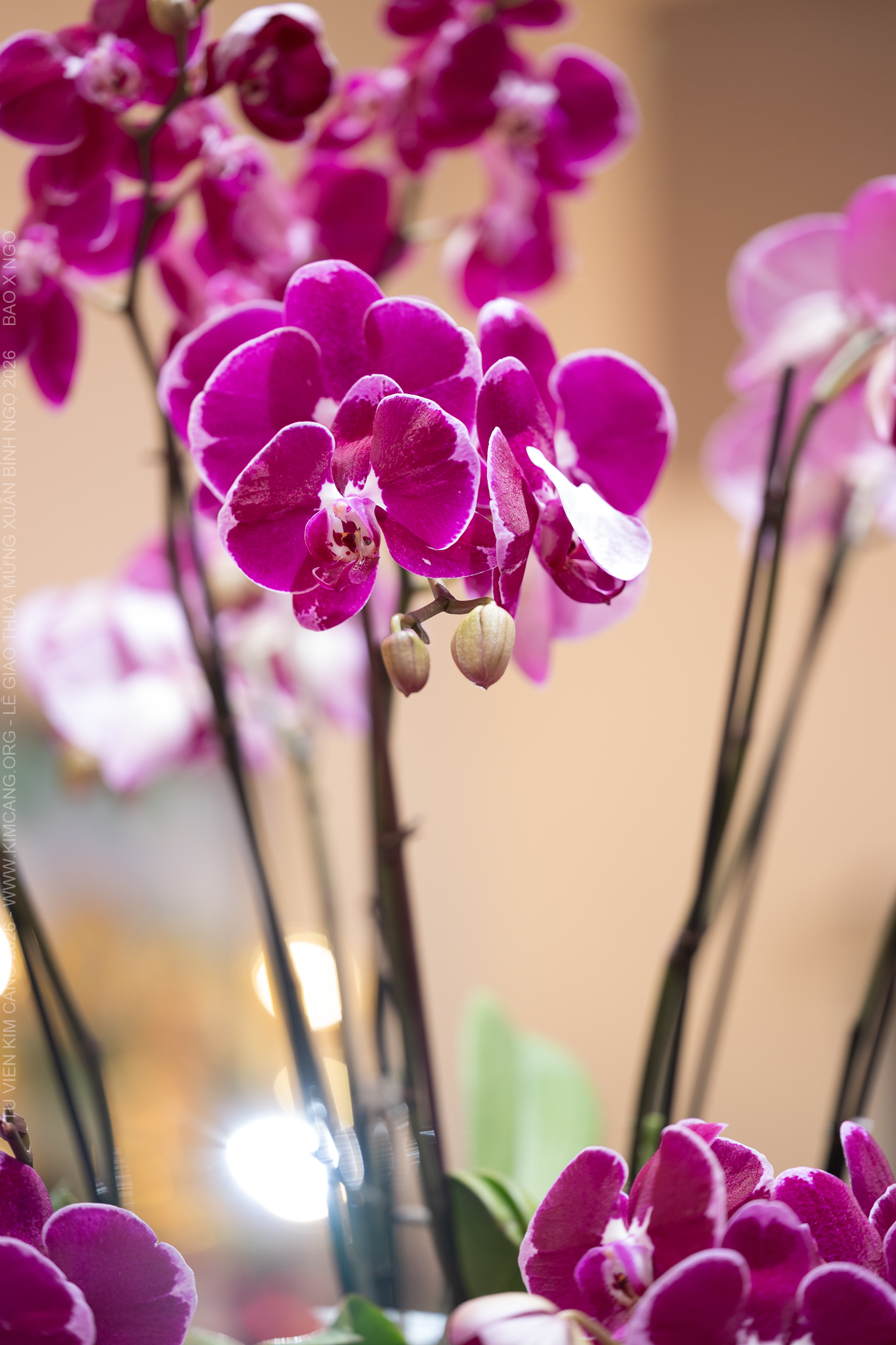 No description available