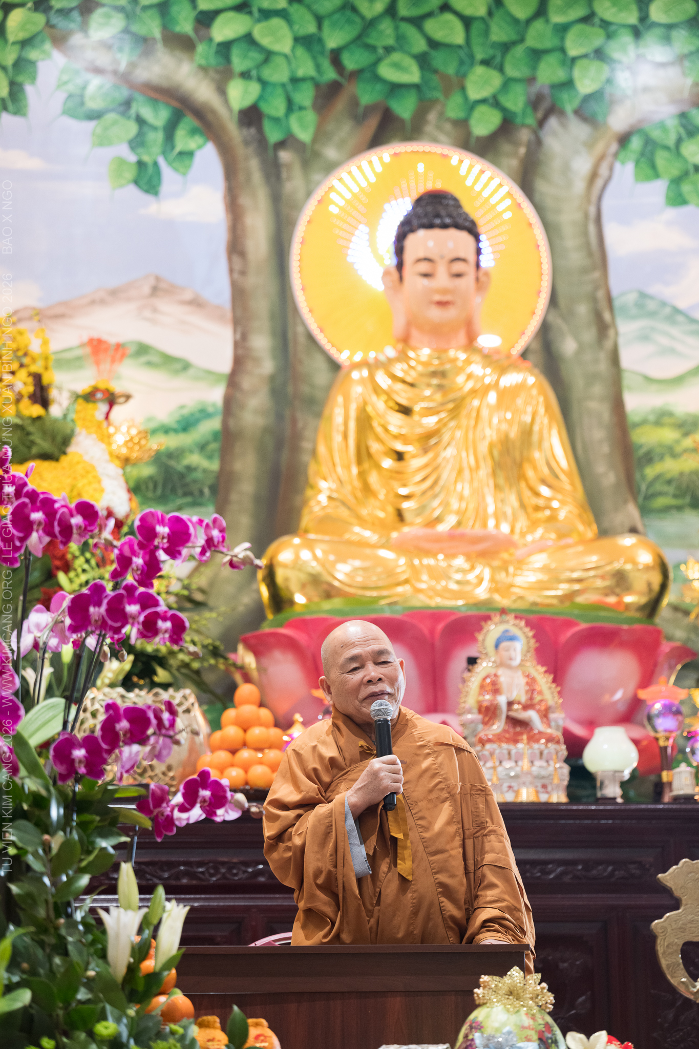 No description available